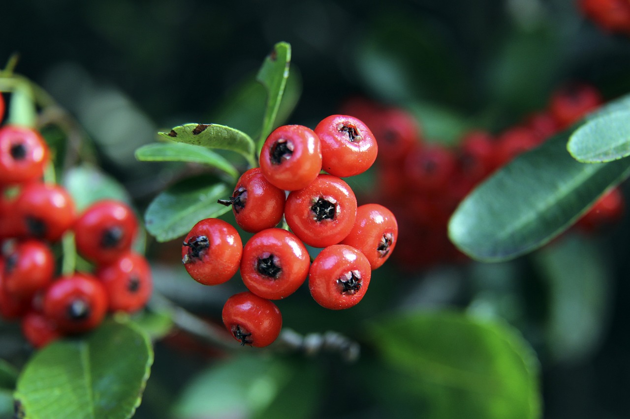 冠军热门 冠军热门