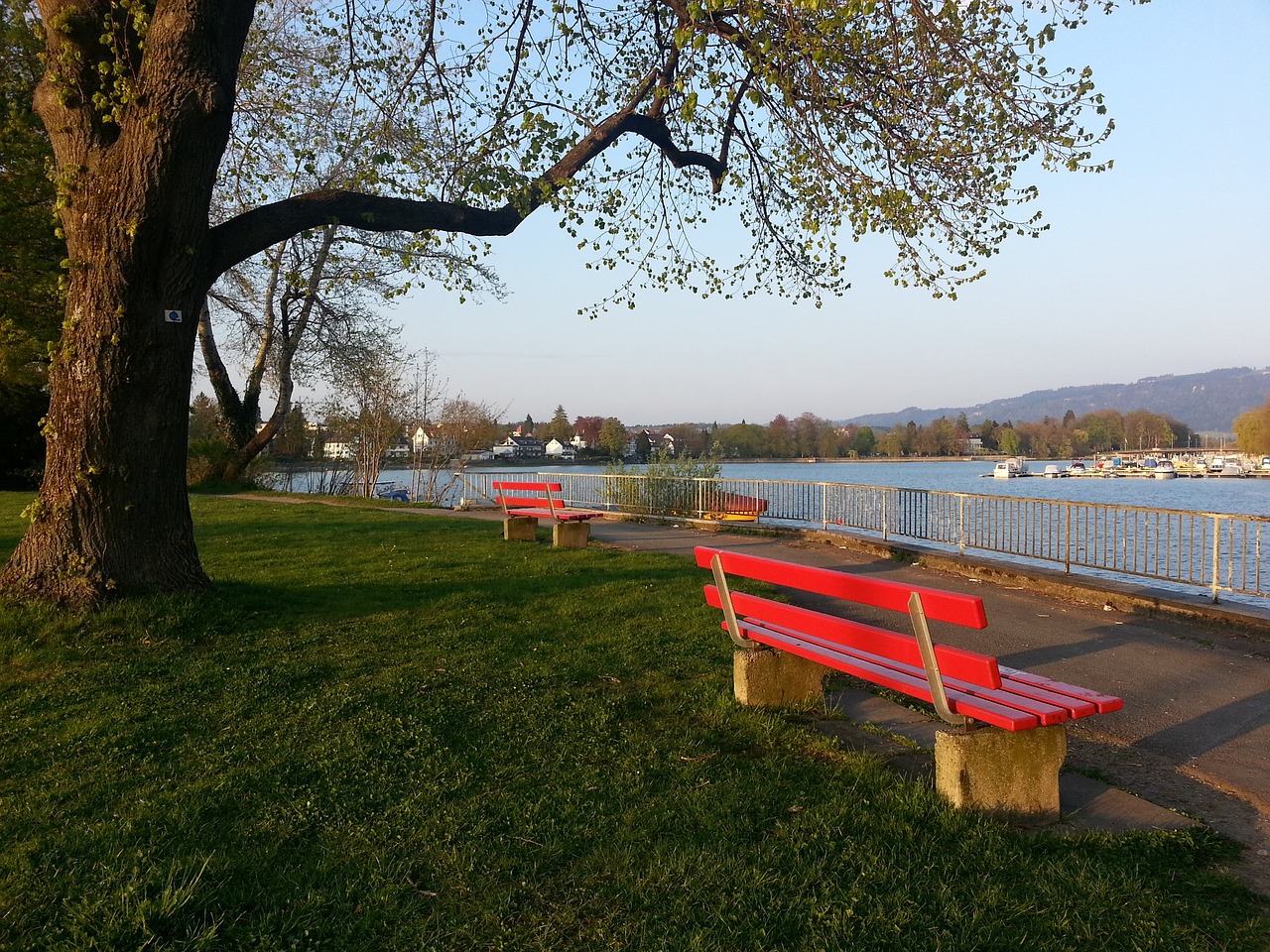 史都堪称 史都堪称